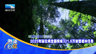 2025年湖北将全面完成321.8万亩营造林任务