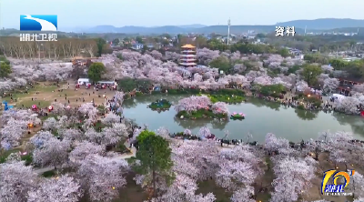 湖北迎来今年首个外省赏花专列旅游团