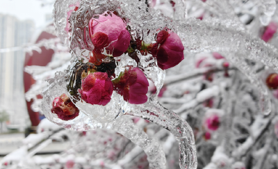 -7℃！湖北明后两天早晨将开启“冰冻模式” 快裹紧厚衣服！