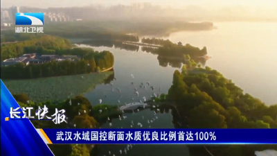 武汉水域国控断面水质优良比例首达100%