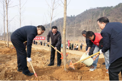 提升支点生态承载力！十堰市张湾干群植树造林添新绿