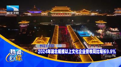 2024年湖北规模以上文化企业营收同比增长9.9%