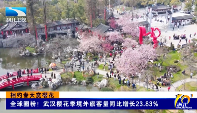 相约春天赏樱花 | 全球圈粉！武汉樱花季境外旅客量同比增长23.83%