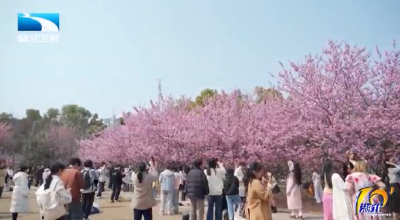 2025年3月15日湖北十分