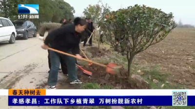 孝感孝昌：工作队下乡植青翠 万树扮靓新农村