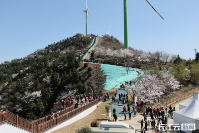 共赴咸宁大幕山的樱花之约