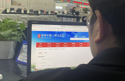 一份报告代替44份证明 武汉开启政务服务“信用时代”