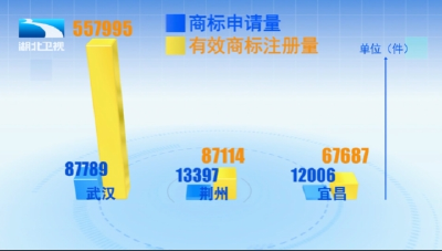 每分钟诞生2个新商标  湖北2024年商标申请量超20万件