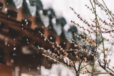 明天，中到大雪局部暴雪！