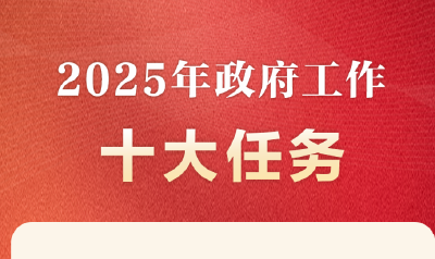 2025年政府工作十大任务