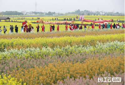 花期“赚流量” 花谢“赚产值” 湖北这抹“金黄”很亮眼