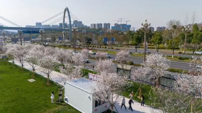 光谷今起推出6条科技旅游线路！“光樱的故事”小程序上线，购票、预约点这里→