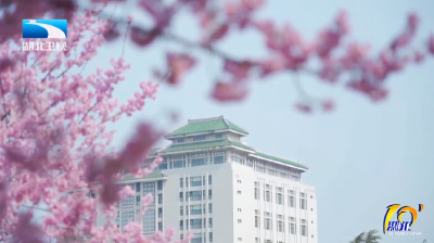 踏青赏花享春光 “春日经济”活力旺