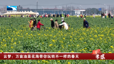 孝感云梦：万亩油菜花海带你玩转不一样的春天