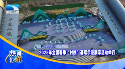 2025年全国春季“村晚”基层示范展示活动举行