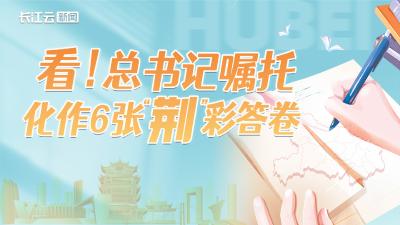 看！总书记嘱托化作6张“荆”彩答卷