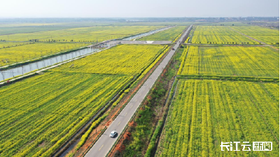 咸宁： 为公路“美颜” 为赏花出行“加分”