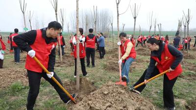 襄阳襄州：春回大地添新绿，植树造林正当时