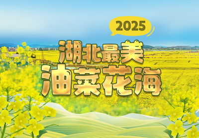 2025湖北最美油菜花海