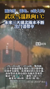 雨夹雪、雷电、8级大风！武汉气温跌向1℃