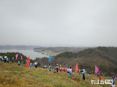 第47个植树节 央视聚焦水源地丹江口：“以林治水” 生态效益显著