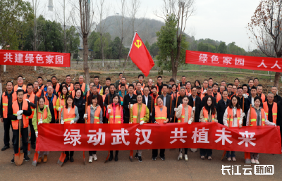 武汉多地开展植树活动 助力生态建设