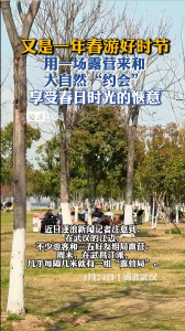 又是一年春游好时节，用一场露营来和大自然“约会”