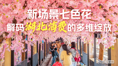 新场景七色花：解码湖北消费的多维绽放