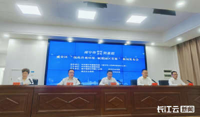 咸宁咸安：持续擦亮服务品牌 锚定打造“营商环境首善区”
