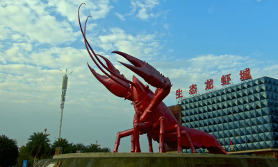 江汉艺术职业学院·《潜江龙虾，红遍天下》