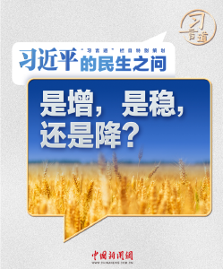 习近平的民生之问丨“是增，是稳，还是降？”