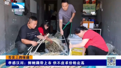 孝感汉川：鲜嫩藕带上市 供不应求价格走高