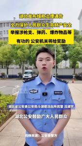 湖北发布缉枪治爆通告！