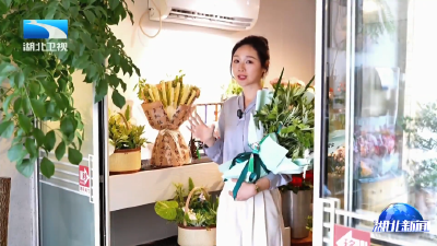 乐购湖北 潮玩七色花 | 艾草原来可以这么潮