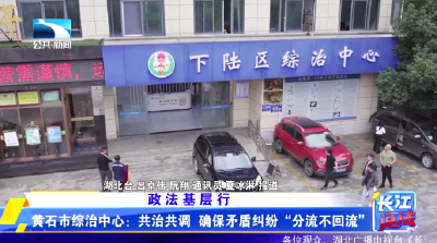 黄石市综治中心：共治共调 确保矛盾纠纷“分流不回流”