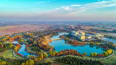 为什么是仙桃？“文明四重奏”！ 仙桃全国文明城市的创建之路