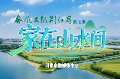 荆州：乡村蝶变“绿生金”
