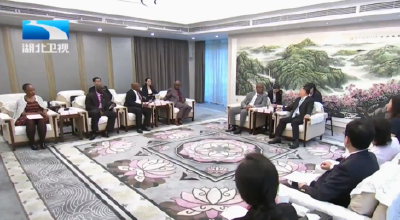 杨云彦会见博茨瓦纳民主变革联盟代表团
