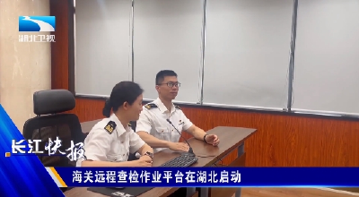 海关远程查检作业平台在湖北启动