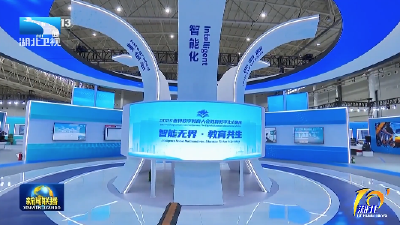 丁薛祥出席2025世界数字教育大会开幕式并致辞