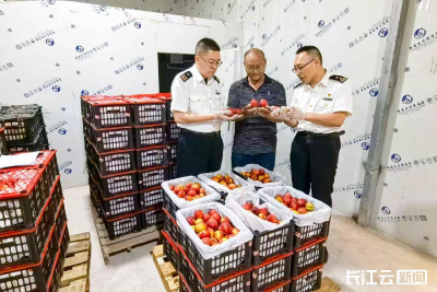 湖北鲜桃今年首次出口