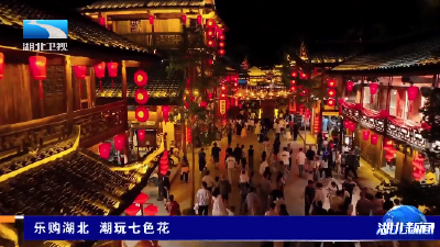 乐购湖北 潮玩七色花丨紫色夜经济：消费新场景越夜越美丽