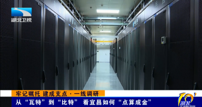牢记嘱托 建成支点·一线调研 | 从“瓦特”到“比特” 看宜昌如何“点算成金”