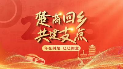 团风县举办招商引资推介活动