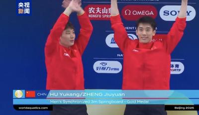 跳水世界杯总决赛“梦之队”夺首金！胡宇康/郑九源男子双人3米板金牌