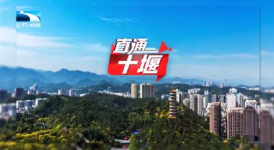 直通十堰 | 科技之花结产业硕果，创新变量聚经济增量