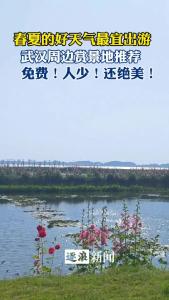 又是出游好时节！免费、人少、绝美的宝藏赏景地就在这里