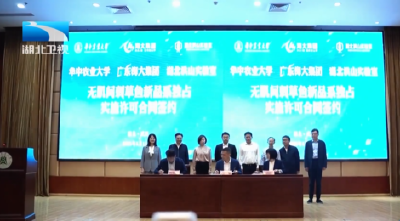 5000万元技术许可+亿元合资公司 无刺鱼科研成果加速落地