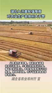 湖北入汛首轮强降雨对农业生产总体利大于弊