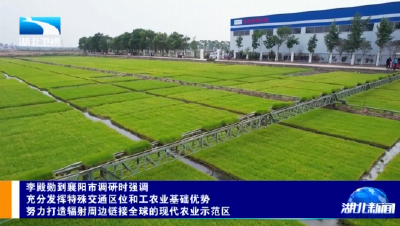 李殿勋到襄阳市调研